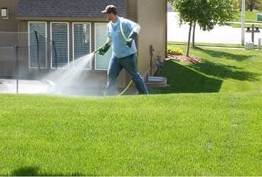 service_fertilizer service_fertilizer