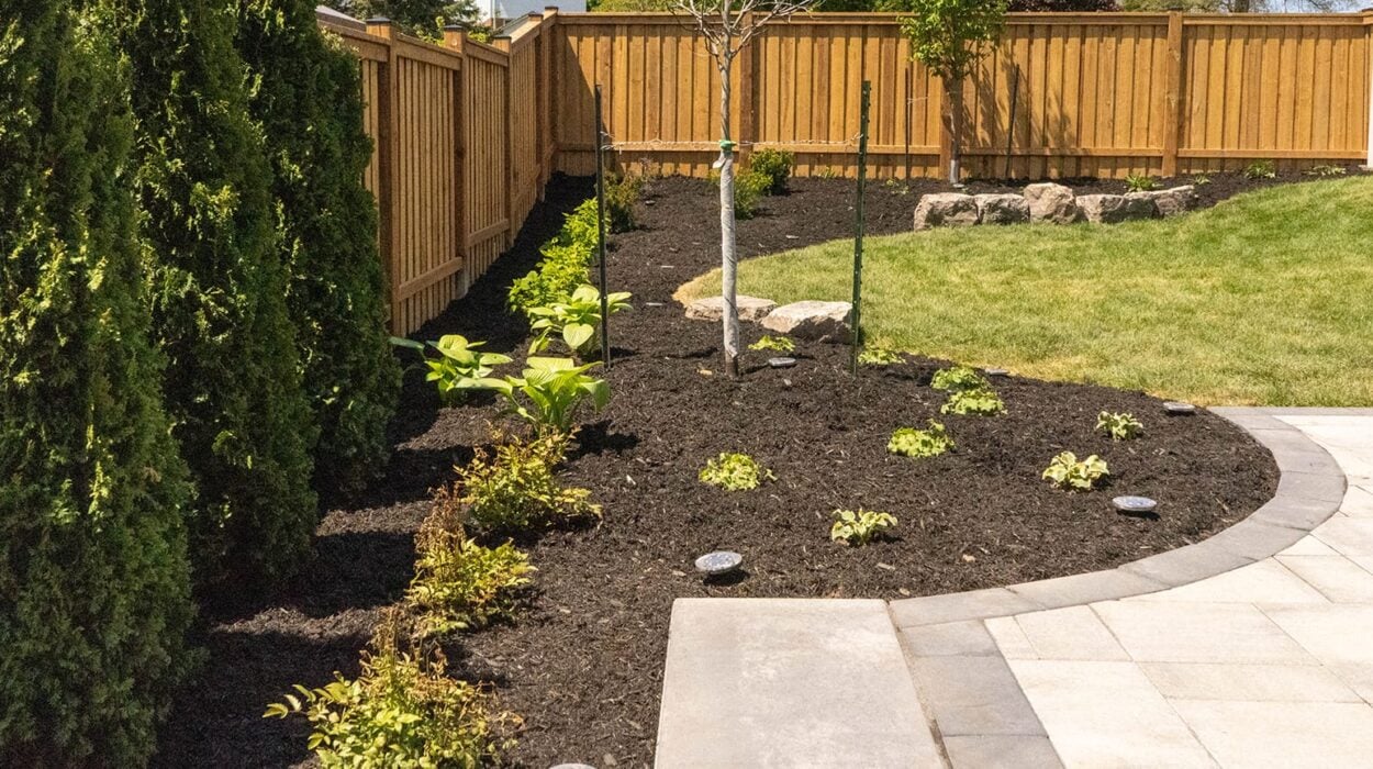 landscape is an investment