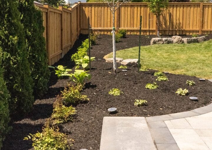 landscape is an investment