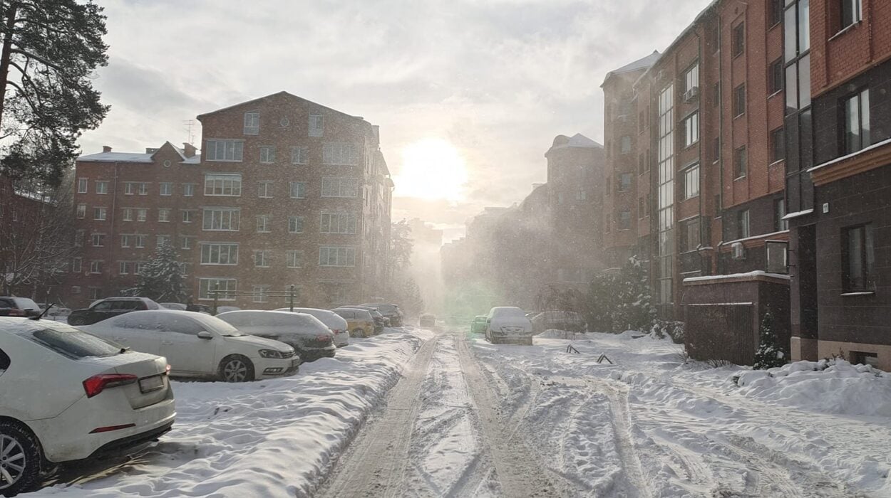 snow removal commercial property