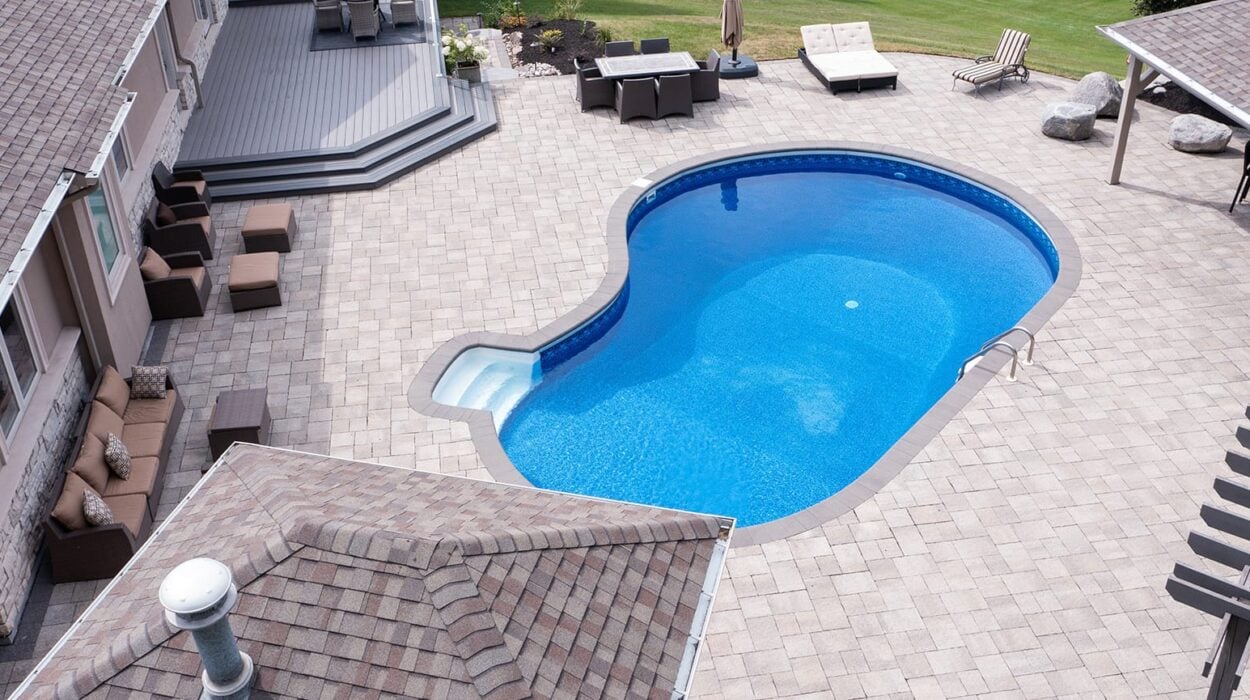 pool is centrepiece of outdoor space