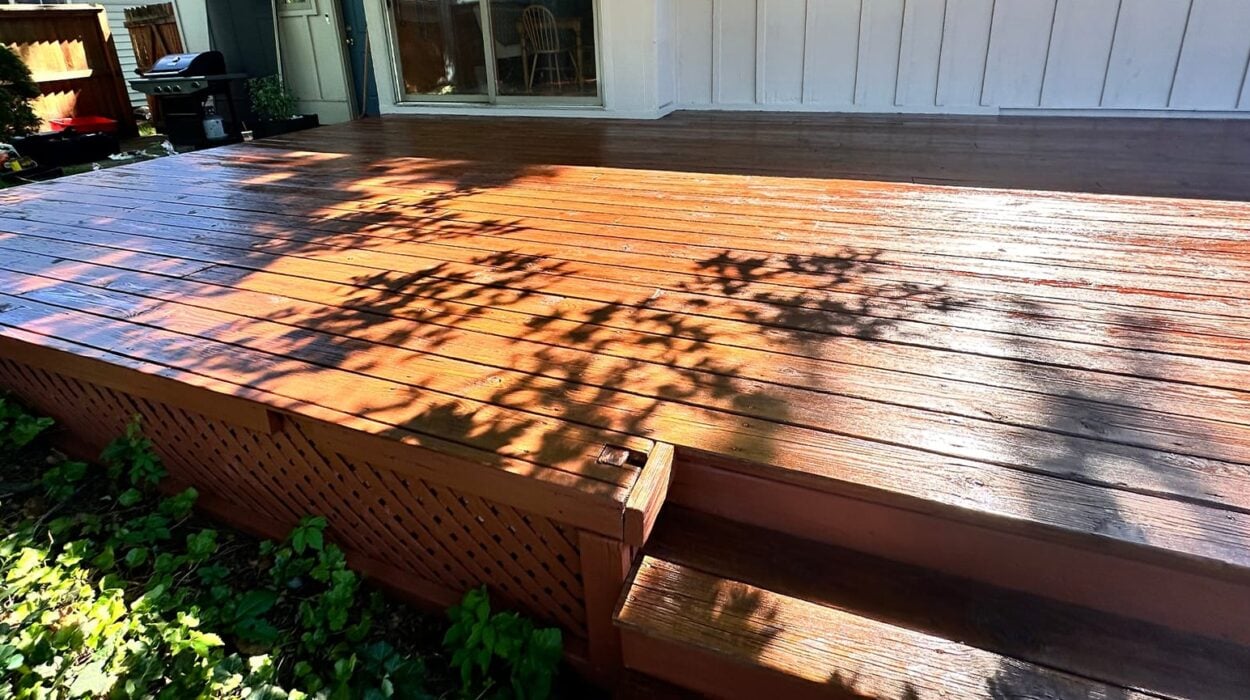 deck stain backyard remodel refinish wood