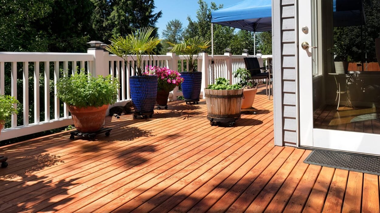 home deck backyard with garden and plants in pots