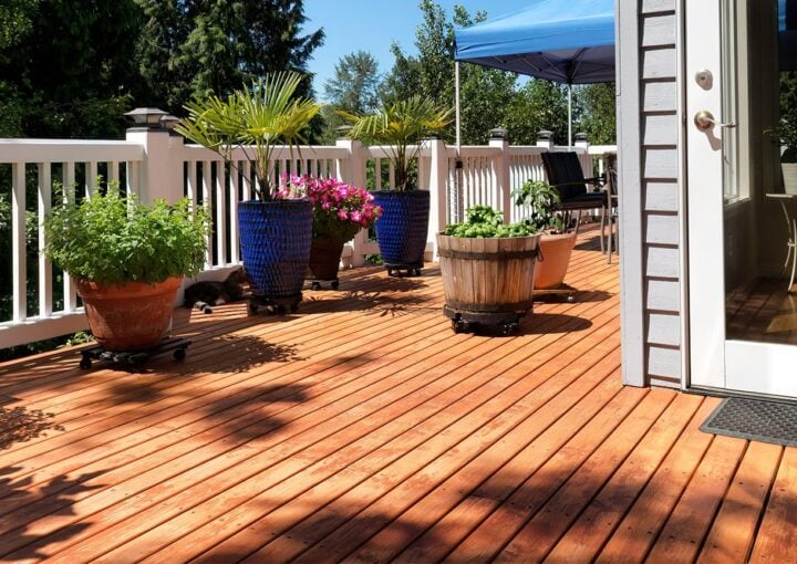 home deck backyard with garden and plants in pots