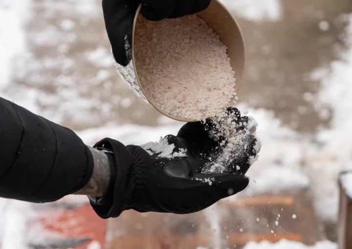 rock salt ice melt is being spread on your walkway to melt the ice and snow from your path