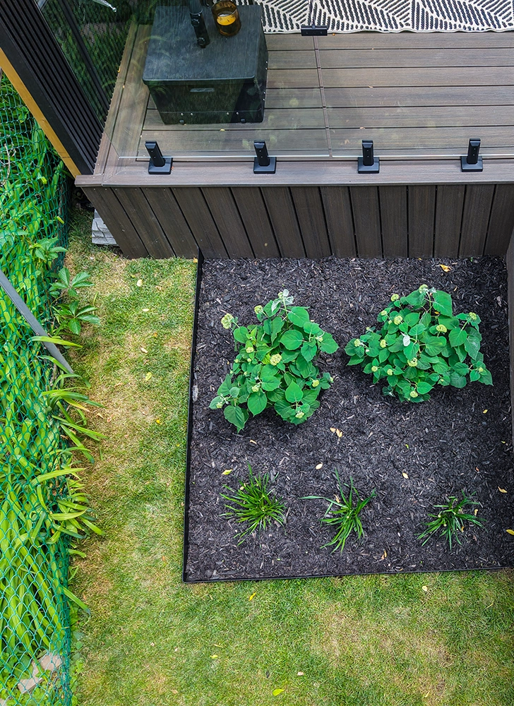 unusable backyard