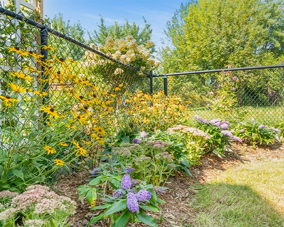 flowers planting flowers planting