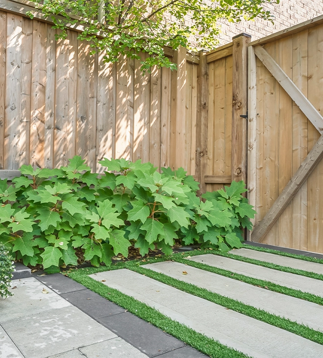 landscape sodding design landscape sodding design