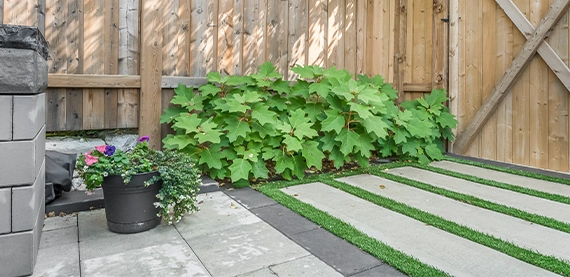 landscaping and concrete steps landscaping and concrete steps
