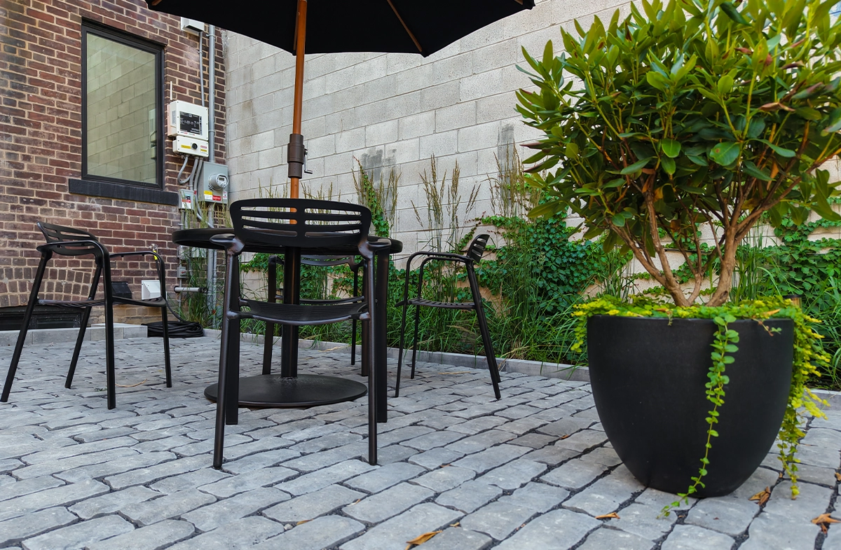 open sitting setup with landscape and planting decor