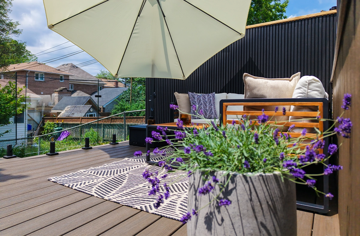 plants in pot close up view and umbrella on on sitting setup deck