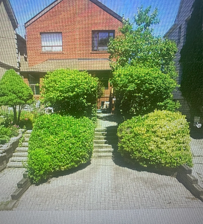 stairs covered with trees