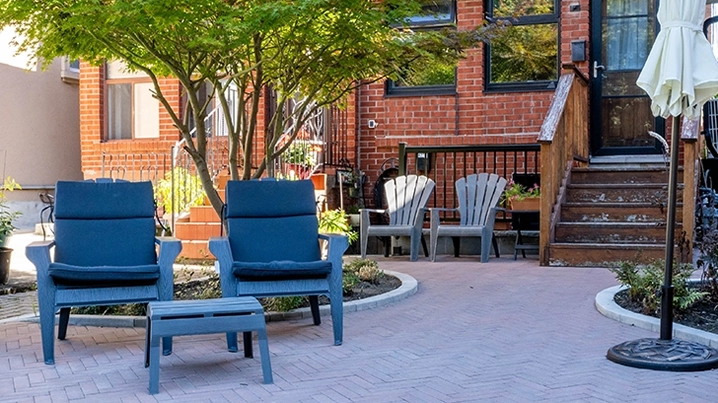 tree in center front yard