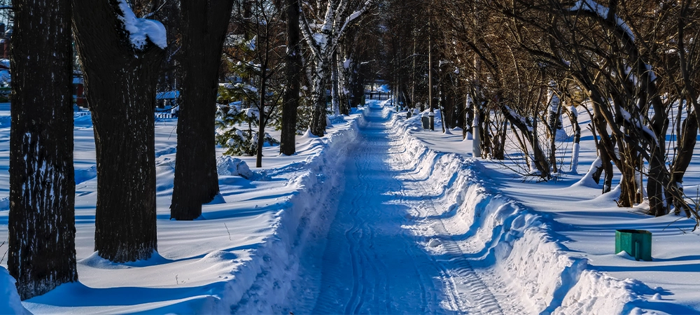 walkway in the park on a sunny day in winter
