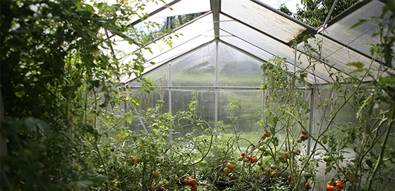 accessory structures image two accessory structure green room