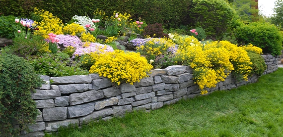 small armour stone retaining wall prevent soil erosion and flowers