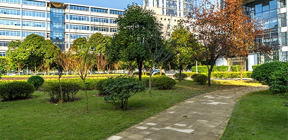 commercial landscape gallery image six commercial landscape gallery image six