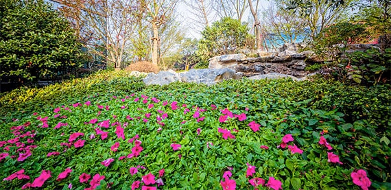 commercial property gallery image two