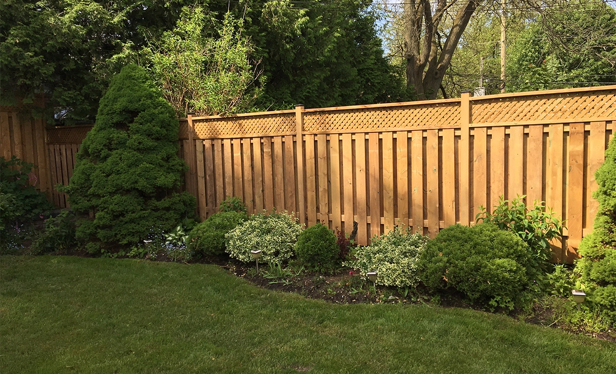fence and landscaping in outdoor space