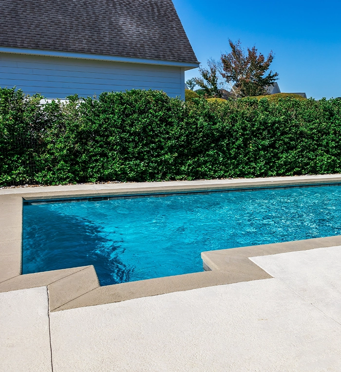 inground salt water pool system with pool coping and concrete deck, surrounding covered with landscaping