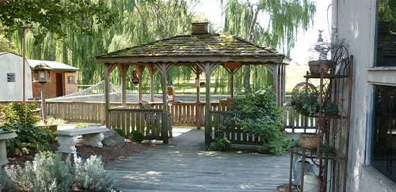 old wooden gazebo in back yard