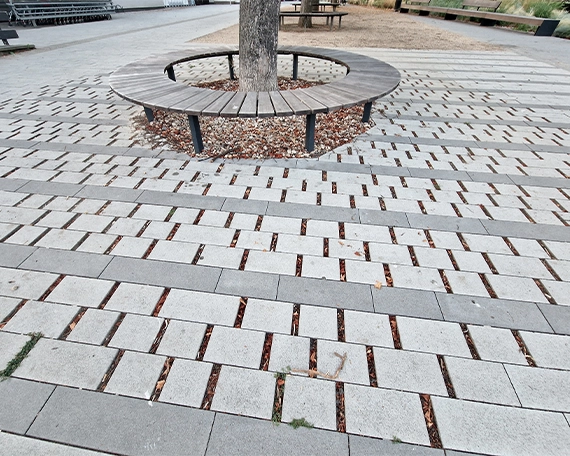 permeable driveway image three tree on centre of permeable driveway