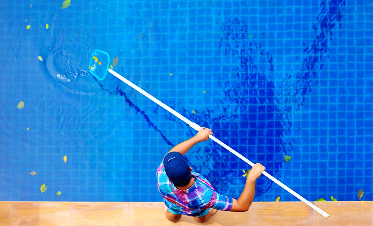 remove leaves and dirt out of pool man removing leaves and dirt out of pool, swimming pool cleaning