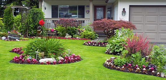 landscaping on home lawn