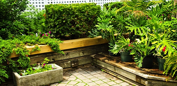 wooden retaining wall image eight wooden retaining wall for home plants