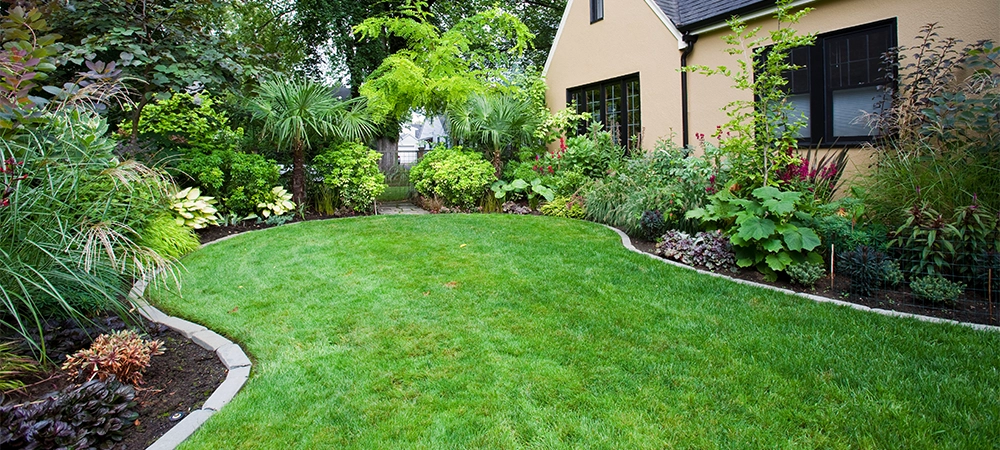 House and Landscaped Yard