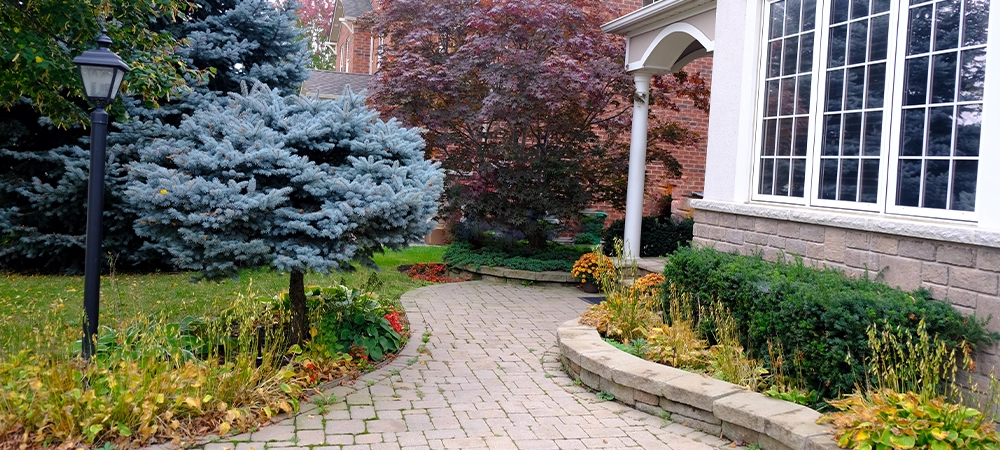 Elegant beautifully landscaped curved walkway to home in autumn