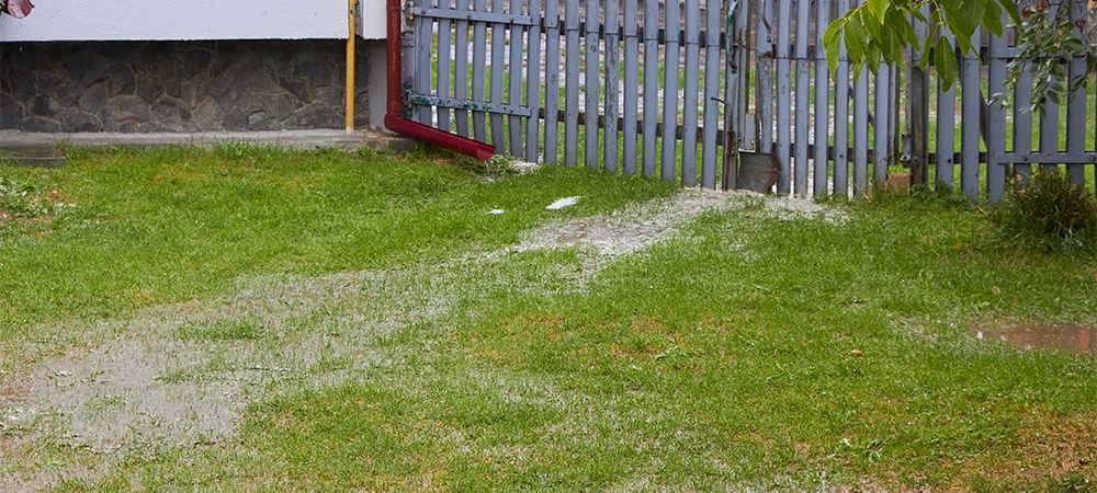 flooded yard, grass in the water in the yard in summer