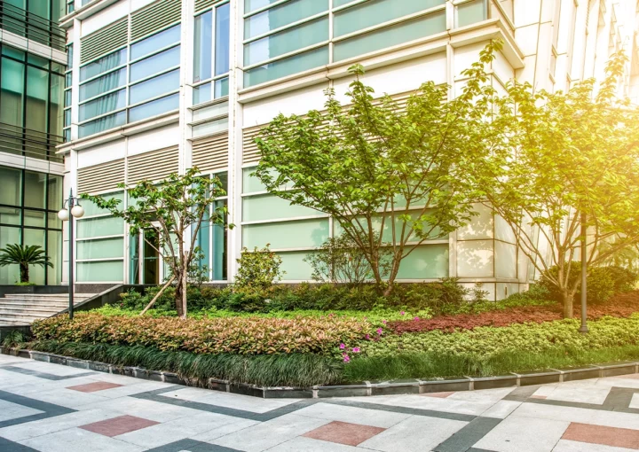 Financial District Commercial Building Office Building